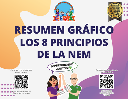 Resumen Gráfico - Los 8 Principios de la NEM