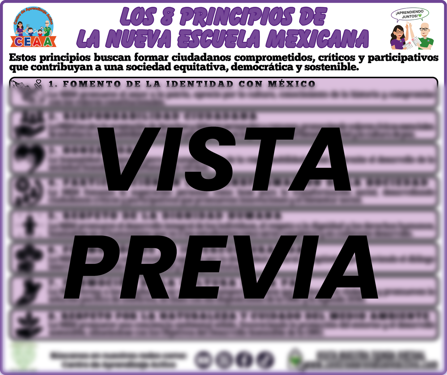 Infografía Los 8 Principios de la NEM