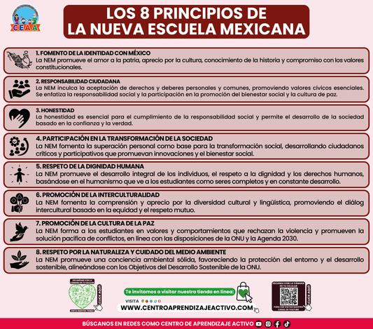 Infografía Los 8 Principios de la NEM