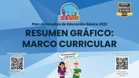 Resumen Gráfico Marco Curricular