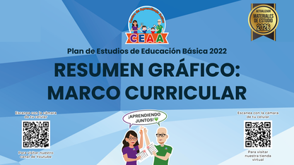 Resumen Gráfico Marco Curricular