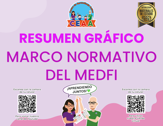 Resumen Gráfico - Marco Normativo del MEDFI