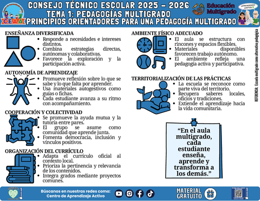 Infografía Multigrado: TEMA 1: PEDAGOGÍAS MULTIGRADO MULTIGRADO: PRINCIPIOS ORIENTADORES PARA UNA PEDAGOGÍA MULTIGRADO en PDF