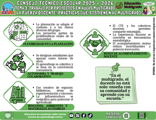Infografía Multigrado: TEMA 3: TRABAJO POR PROYECTOS EN AULAS MULTIGRADO: LA FUERZA DOCENTE: PRÁCTICAS QUE SOSTIENEN AL MULTIGRADO en PDF