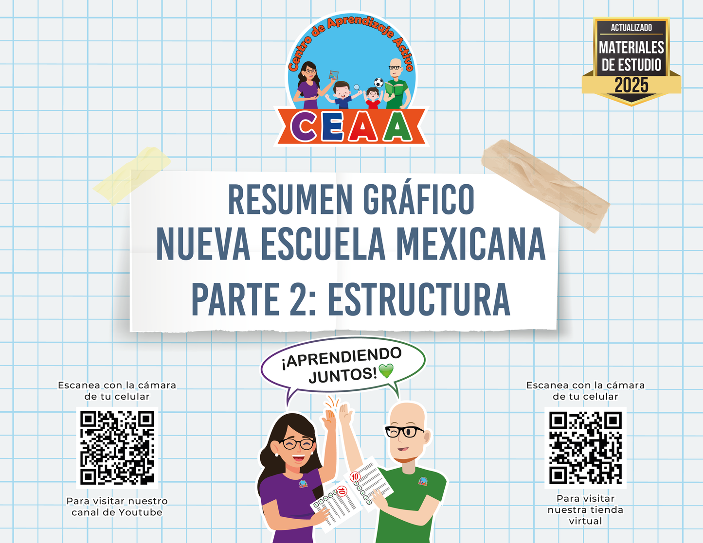 Resumen Gráfico La Nueva Escuela Mexicana Parte 2: Estructura