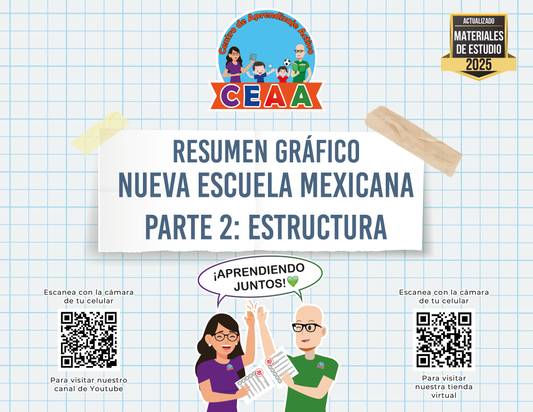 Resumen Gráfico La Nueva Escuela Mexicana Parte 2: Estructura