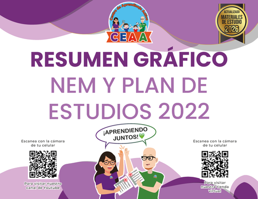 Resumen Gráfico NEM y Plan de Estudios 2022