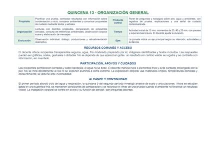 PLANEACIÓN 3° ⭐Preescolar Tercer Periodo (Abr, May, Jun, Jul) ✏️Editable en Word