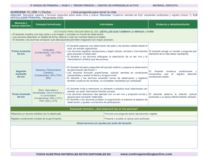 PLANEACIÓN 5° Primaria Tercer Periodo (Abr, May, Jun, Jul) en 🎁PDF
