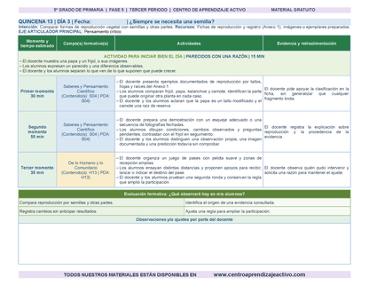 PLANEACIÓN 5° Primaria Tercer Periodo (Abr, May, Jun, Jul) en 🎁PDF
