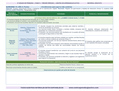 PLANEACIÓN 5° Primaria Tercer Periodo (Abr, May, Jun, Jul) en 🎁PDF