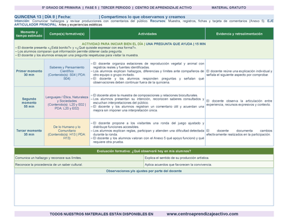 PLANEACIÓN 5° Primaria Tercer Periodo (Abr, May, Jun, Jul) en 🎁PDF