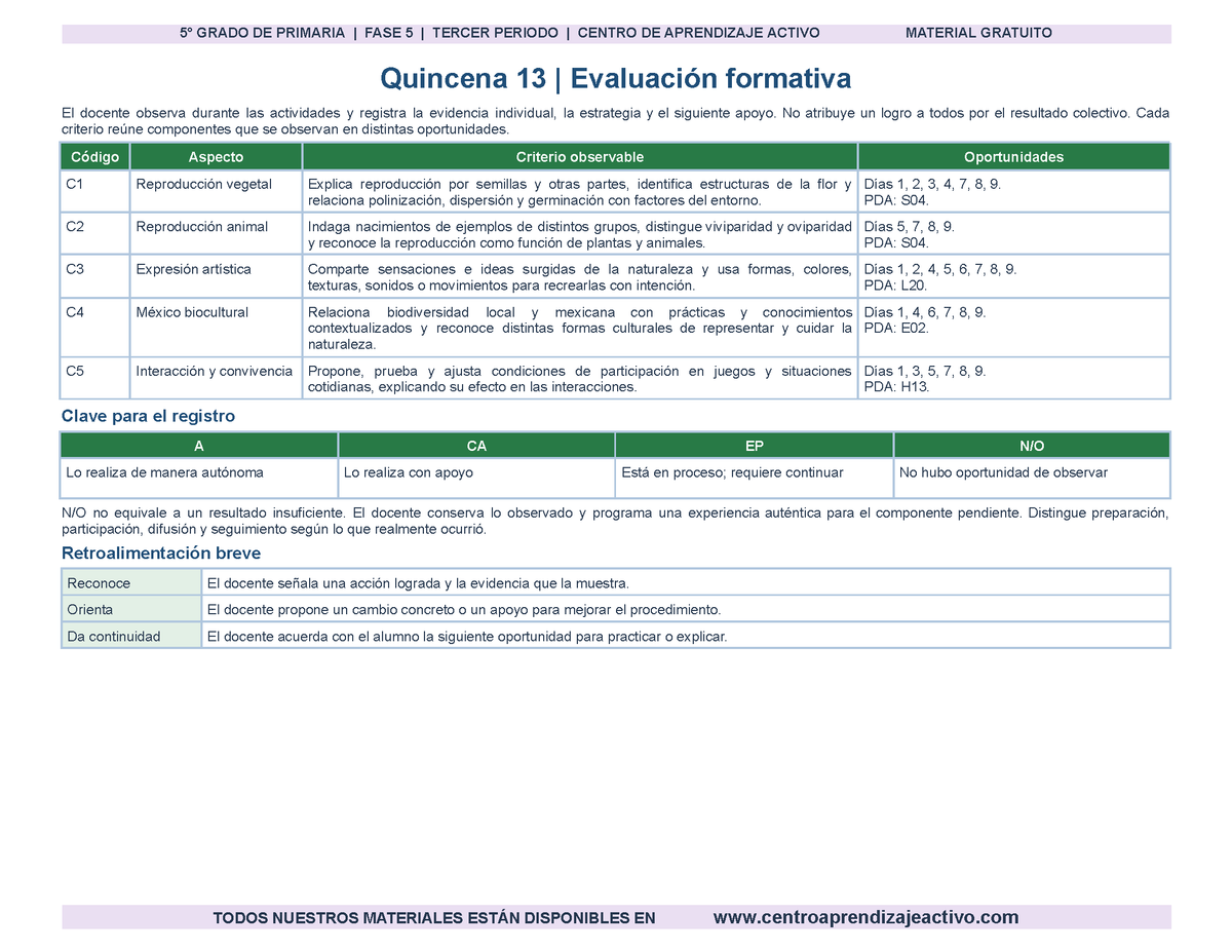 PLANEACIÓN 5° Primaria Tercer Periodo (Abr, May, Jun, Jul) en 🎁PDF