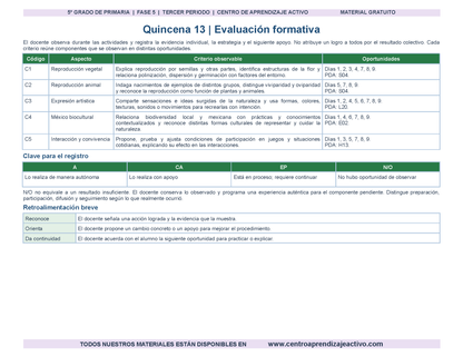 PLANEACIÓN 5° Primaria Tercer Periodo (Abr, May, Jun, Jul) en 🎁PDF