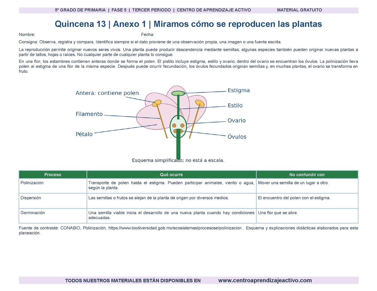 PLANEACIÓN 5° Primaria Tercer Periodo (Abr, May, Jun, Jul) en 🎁PDF