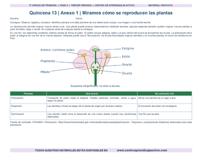 PLANEACIÓN 5° Primaria Tercer Periodo (Abr, May, Jun, Jul) en 🎁PDF