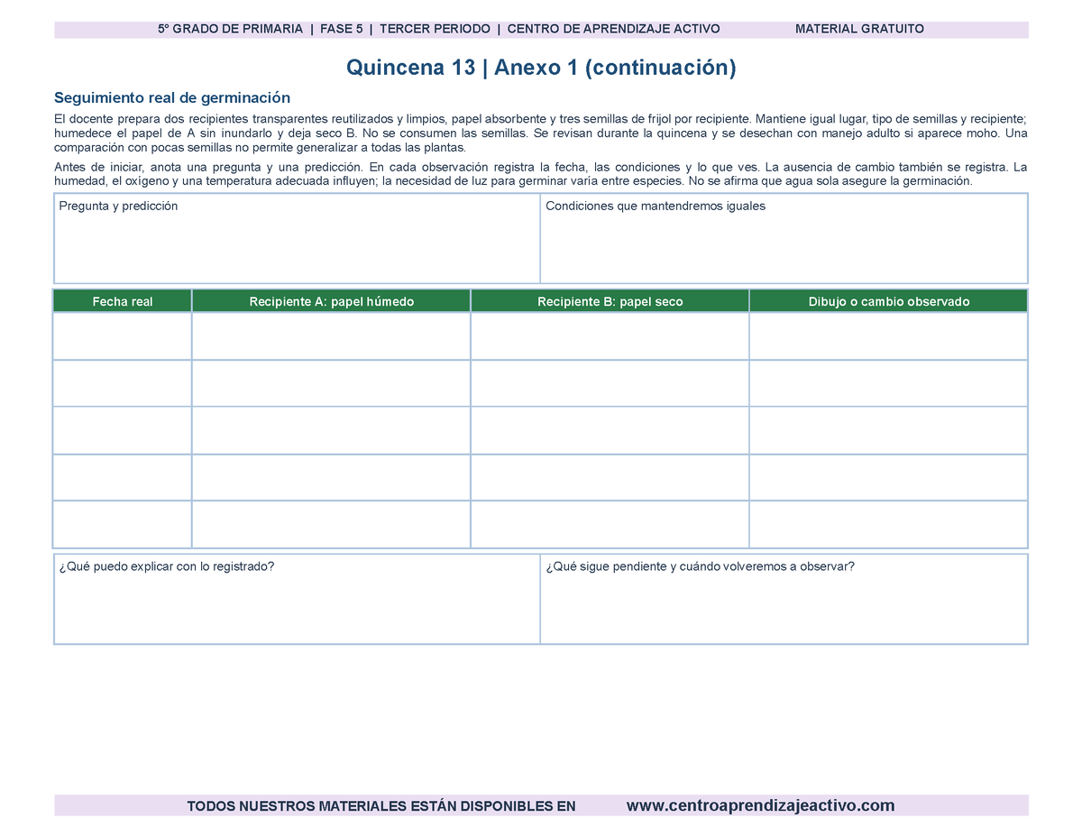 PLANEACIÓN 5° Primaria Tercer Periodo (Abr, May, Jun, Jul) en 🎁PDF