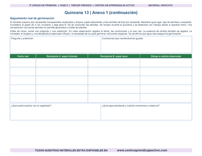 PLANEACIÓN 5° Primaria Tercer Periodo (Abr, May, Jun, Jul) en 🎁PDF