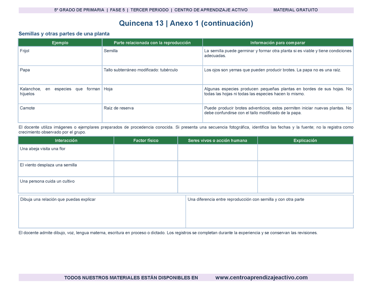 PLANEACIÓN 5° Primaria Tercer Periodo (Abr, May, Jun, Jul) en 🎁PDF