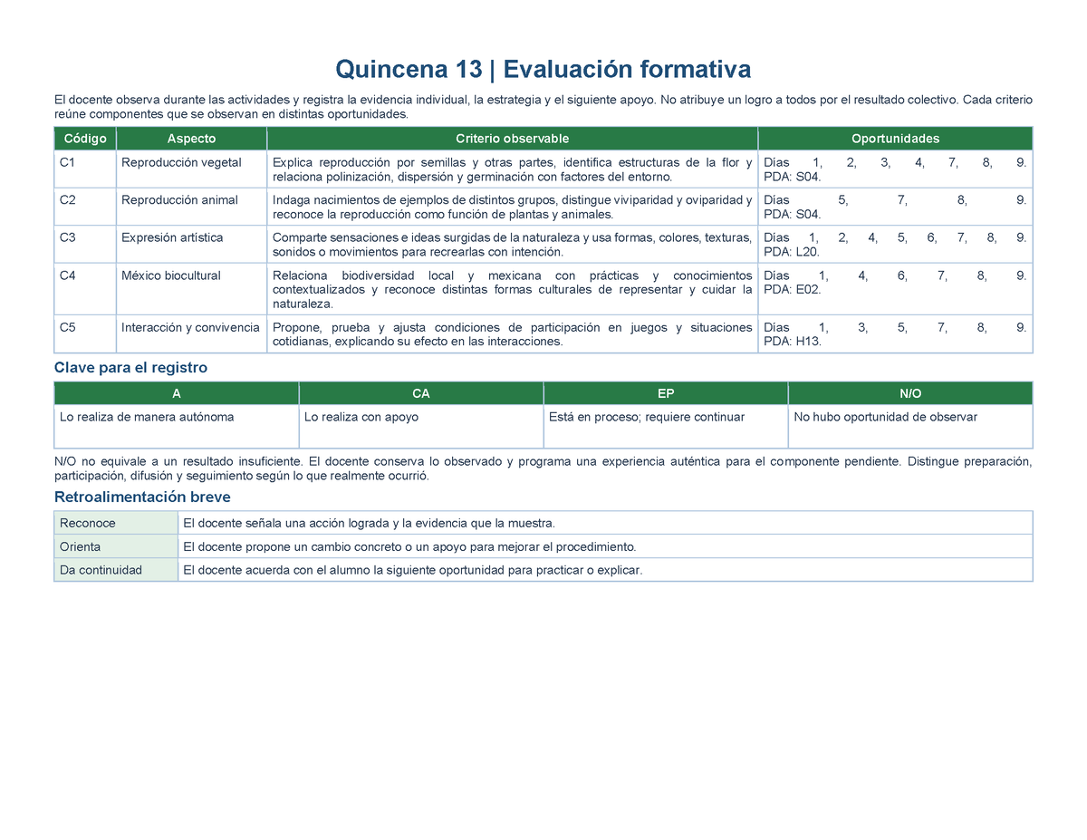 PLANEACIÓN 5° Primaria Tercer Periodo (Abr, May, Jun, Jul) ✏️Editable en Word