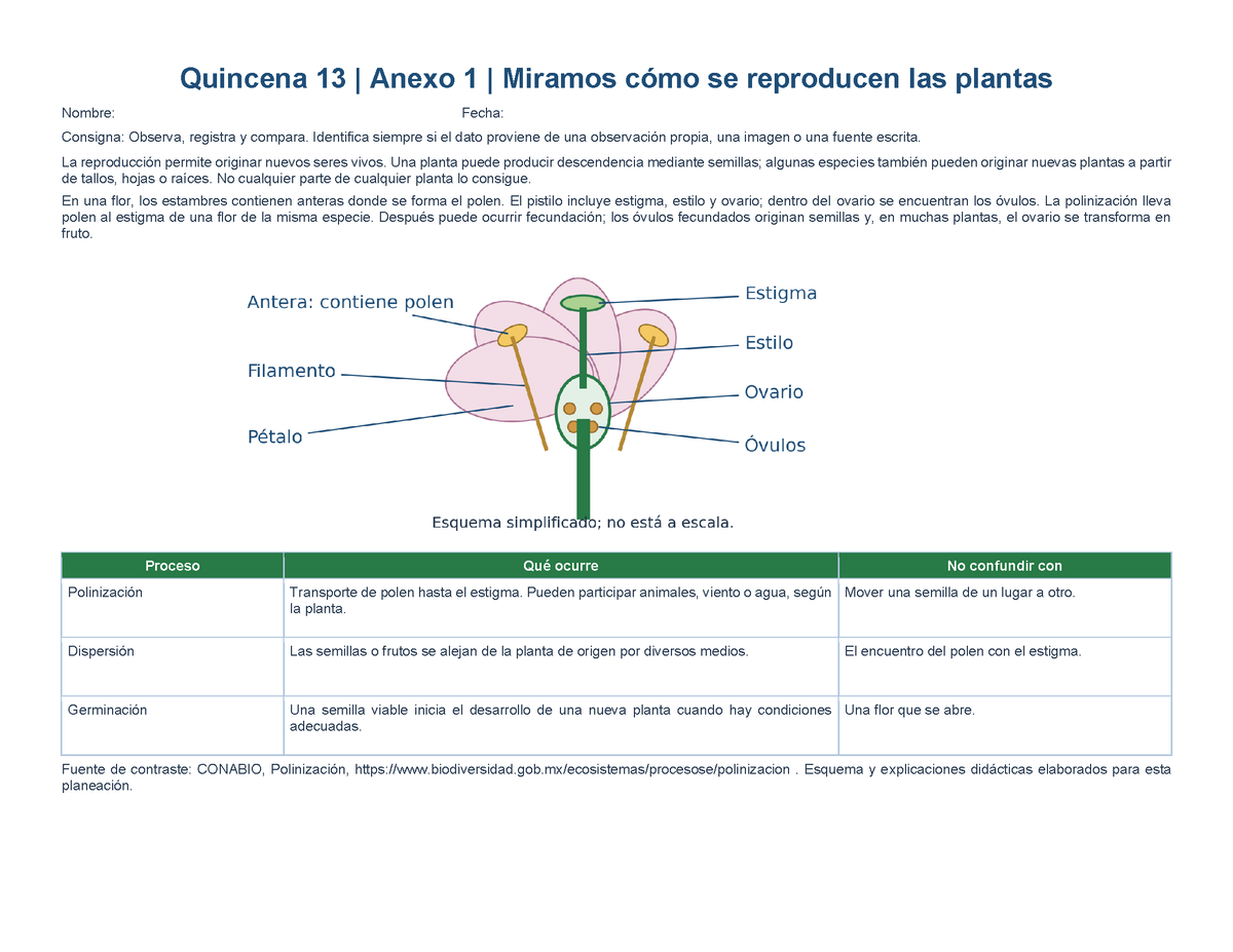 PLANEACIÓN 5° Primaria Tercer Periodo (Abr, May, Jun, Jul) ✏️Editable en Word