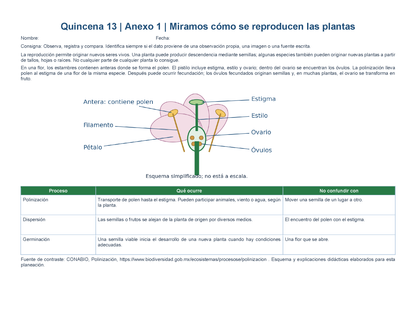 PLANEACIÓN 5° Primaria Tercer Periodo (Abr, May, Jun, Jul) ✏️Editable en Word