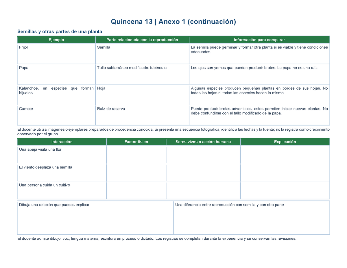 PLANEACIÓN 5° Primaria Tercer Periodo (Abr, May, Jun, Jul) ✏️Editable en Word