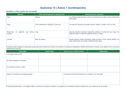 PLANEACIÓN 5° Primaria Tercer Periodo (Abr, May, Jun, Jul) ✏️Editable en Word