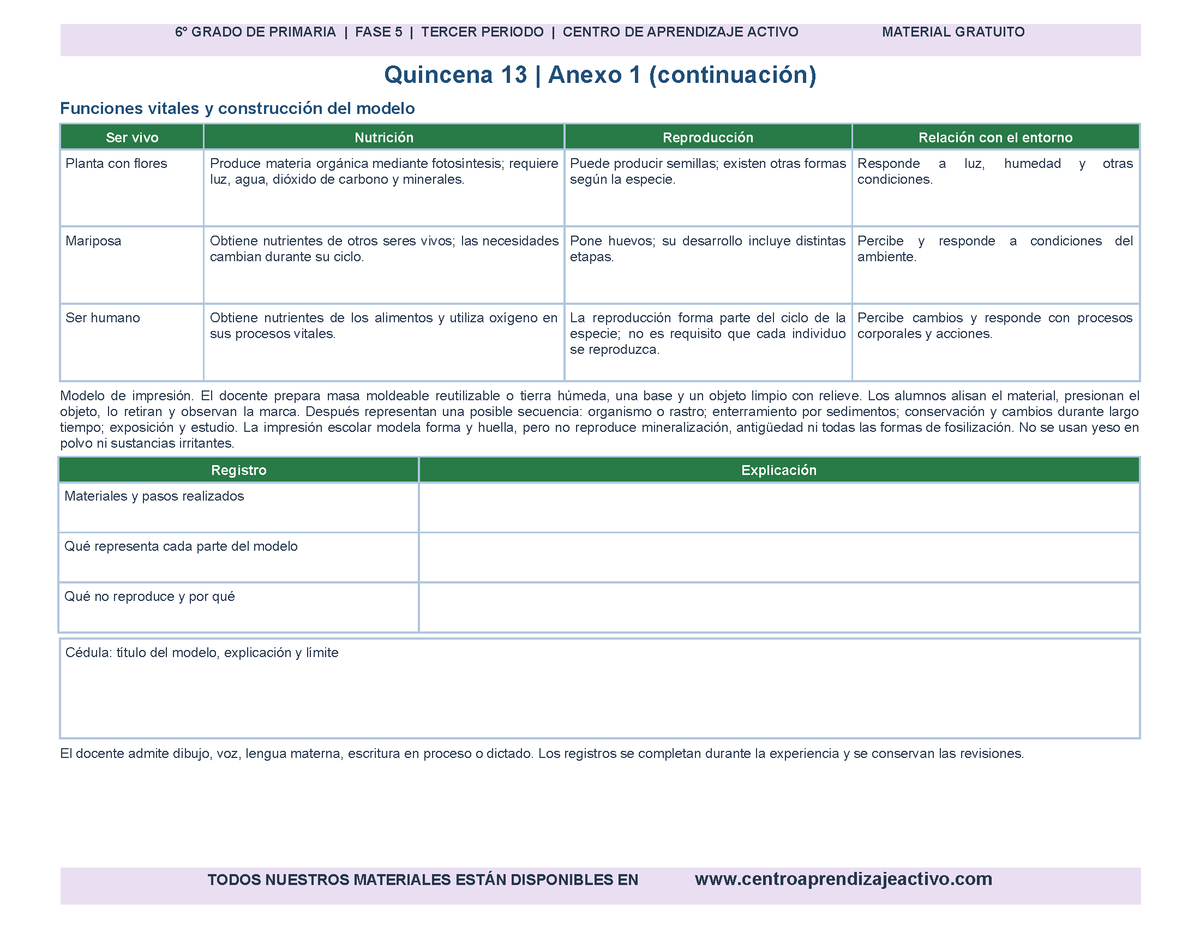 PLANEACIÓN 6° Primaria Tercer Periodo (Abr, May, Jun, Jul) en 🎁PDF