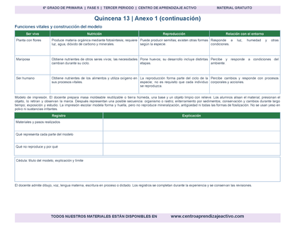 PLANEACIÓN 6° Primaria Tercer Periodo (Abr, May, Jun, Jul) en 🎁PDF