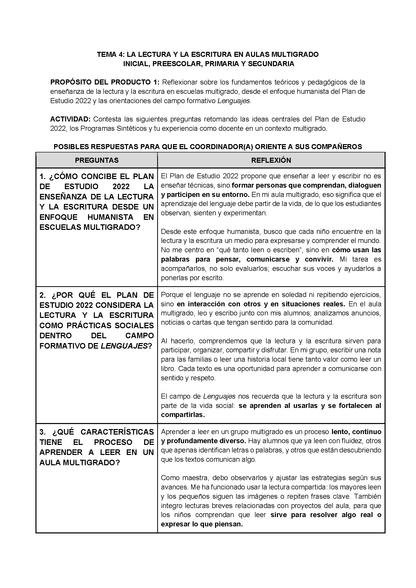 Formato de Productos CTE Multigrado Tema 4 (Editable en Word)