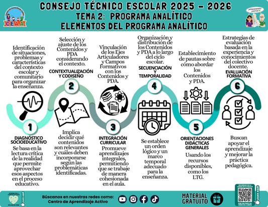 Infografía: TEMA 2: PROGRAMA ANALÍTICO - ELEMENTOS DEL PROGRAMA ANALÍTICO en PDF