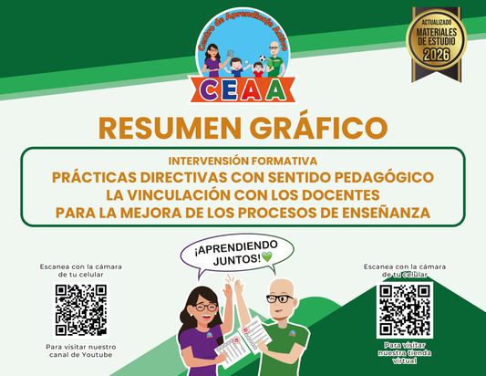 Resumen Gráfico Prácticas Directivas con Sentido Pedagógico