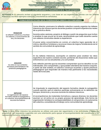Formato de Productos Taller Intensivo Directores en PDF