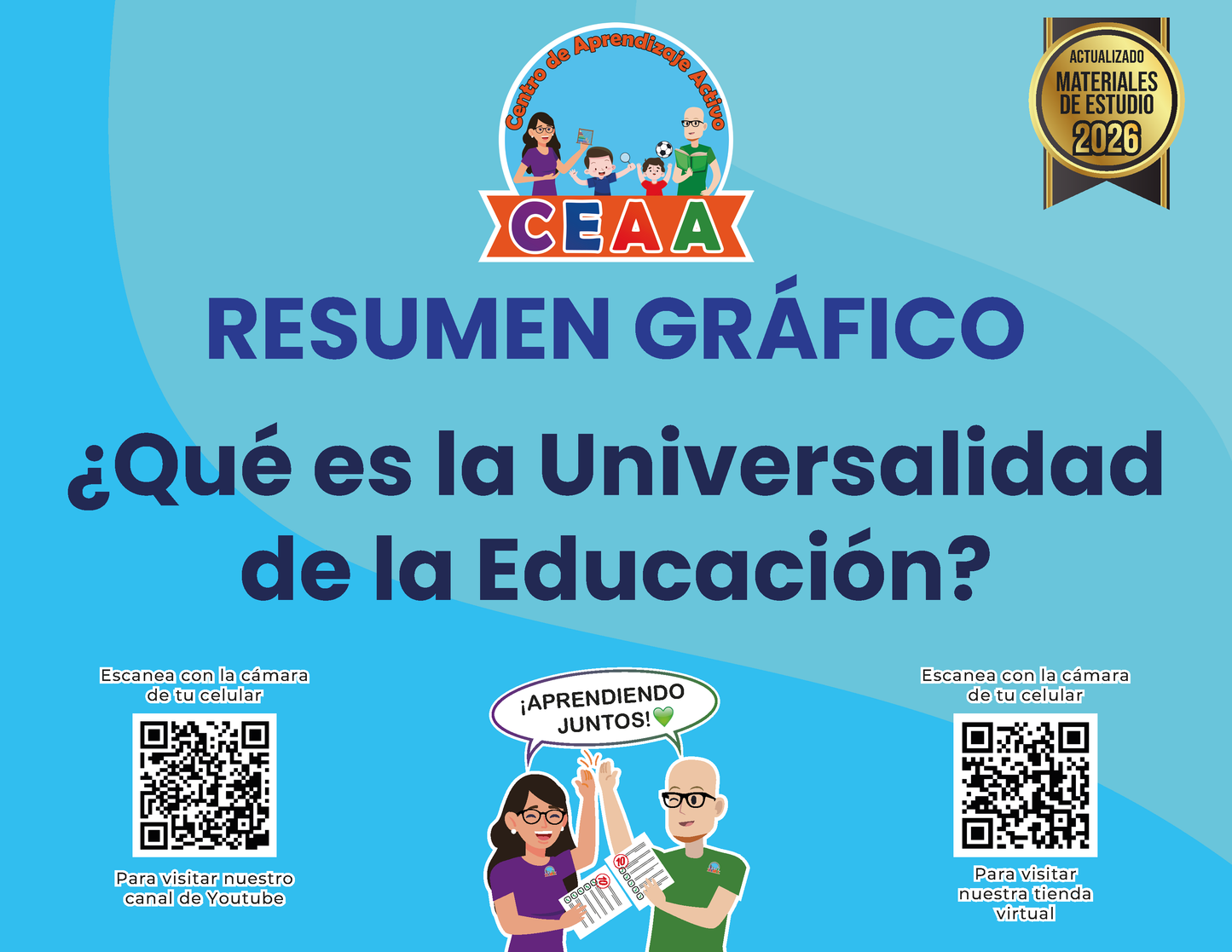 Resumen Gráfico ¿Qué es la Universalidad de la Educación?