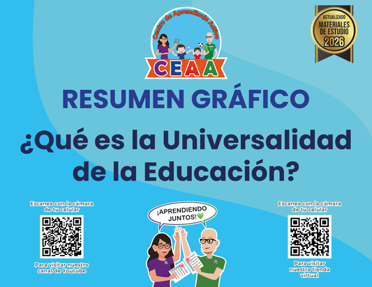 Resumen Gráfico ¿Qué es la Universalidad de la Educación?