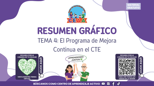 RESUMEN GRÁFICO TEMA 4: EL PROGRAMA DE MEJORA CONTINUA EN EL CTE en PDF