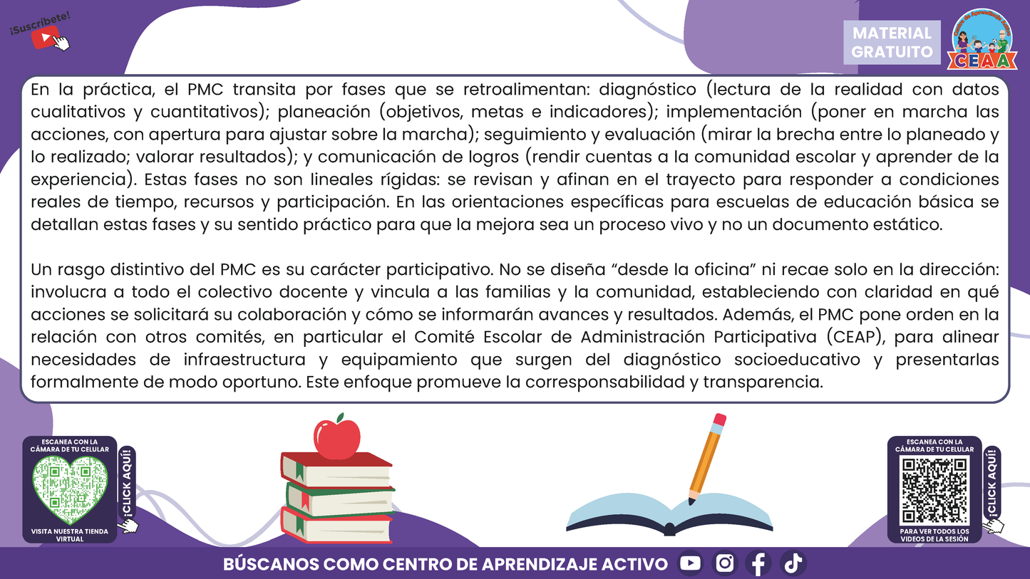 RESUMEN GRÁFICO TEMA 4: EL PROGRAMA DE MEJORA CONTINUA EN EL CTE en PDF