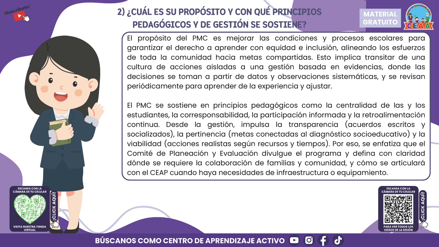 RESUMEN GRÁFICO TEMA 4: EL PROGRAMA DE MEJORA CONTINUA EN EL CTE en PDF