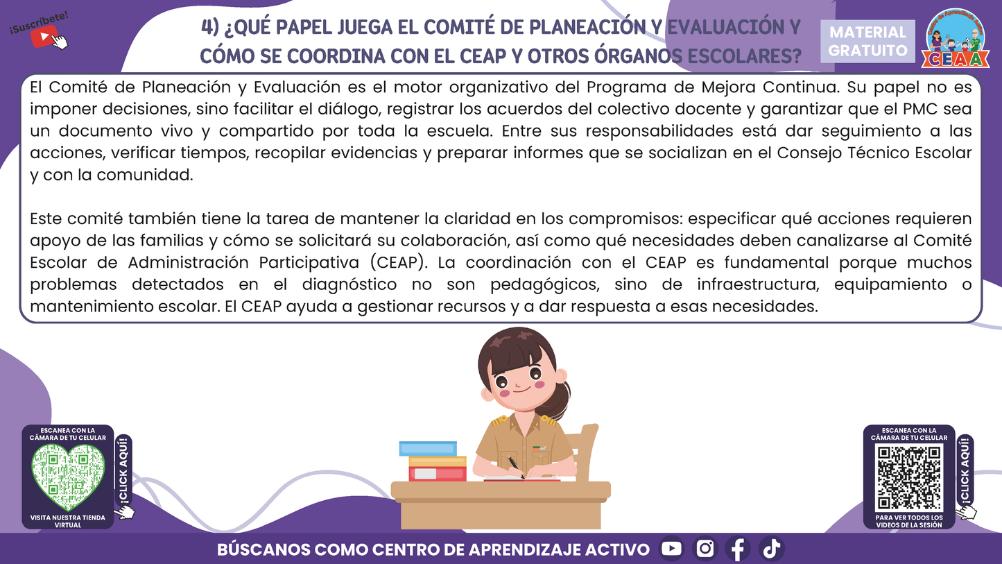 RESUMEN GRÁFICO TEMA 4: EL PROGRAMA DE MEJORA CONTINUA EN EL CTE en PDF
