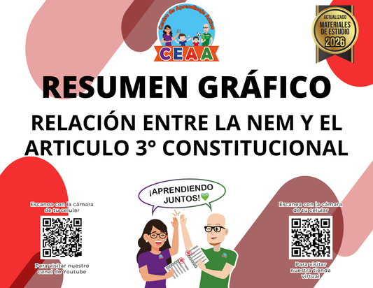 Resumen Gráfico Relación Entre la NEM y el Artículo 3° Constitucional