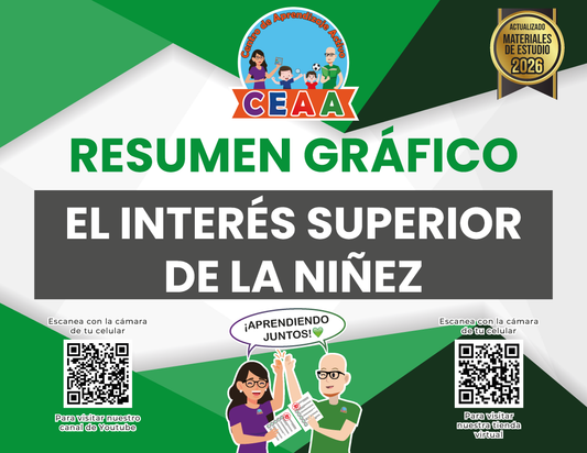 Resumen Gráfico El Interés Superior de la Niñez