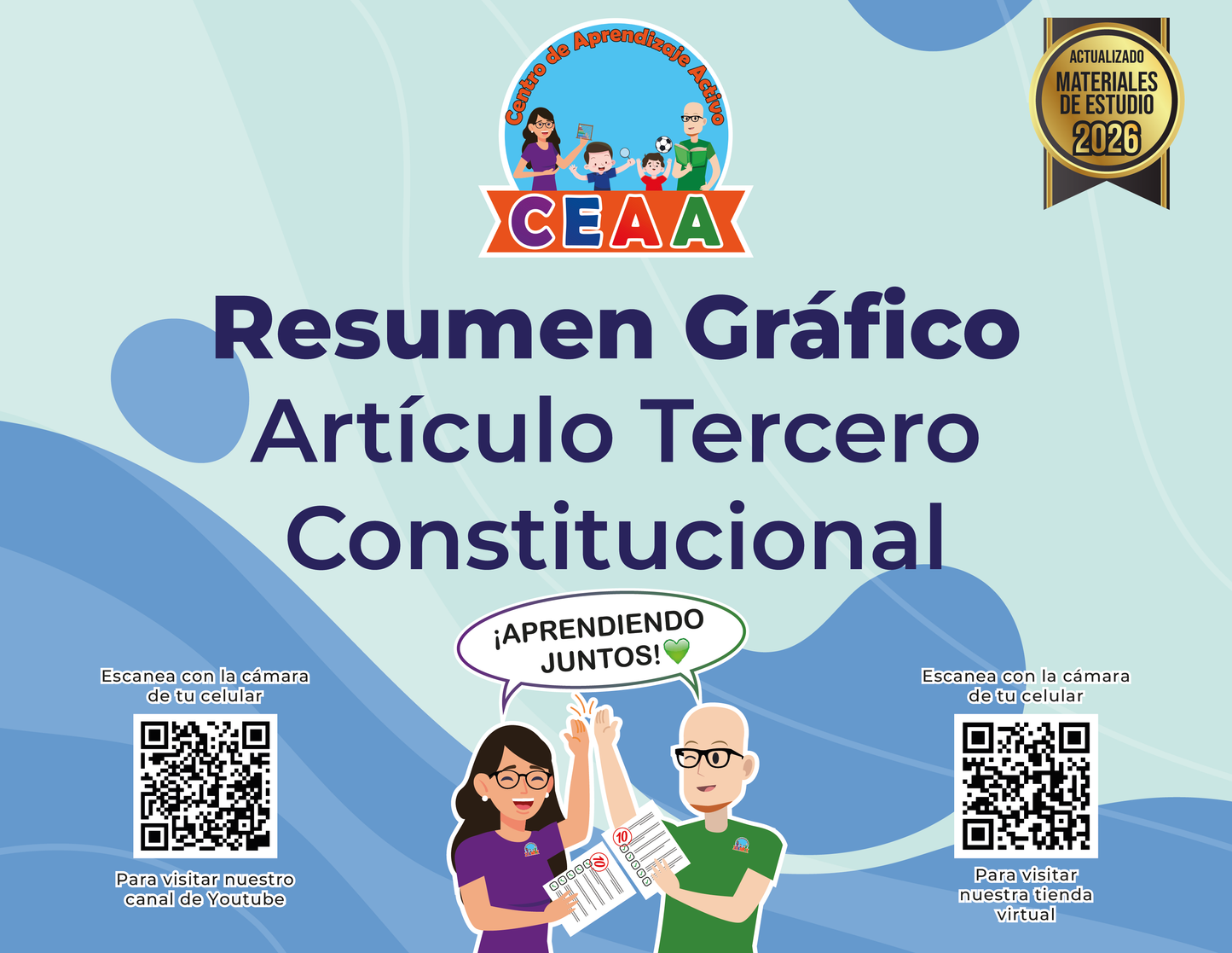 Resumen Gráfico Articulo Tercero Constitucional