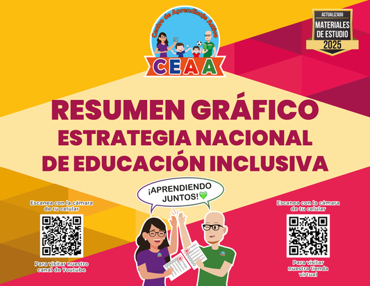 Resumen Gráfico Estrategia Nacional de Educación Inclusiva