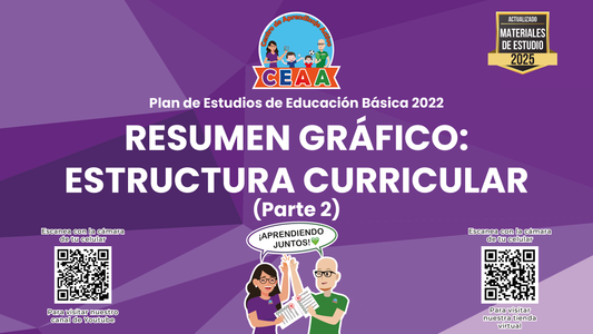 Resumen Gráfico Estructura Curricular