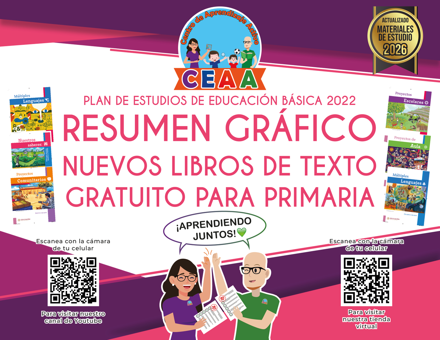 Resumen Grafico Libros Libros de Texto Gratuitos Primaria