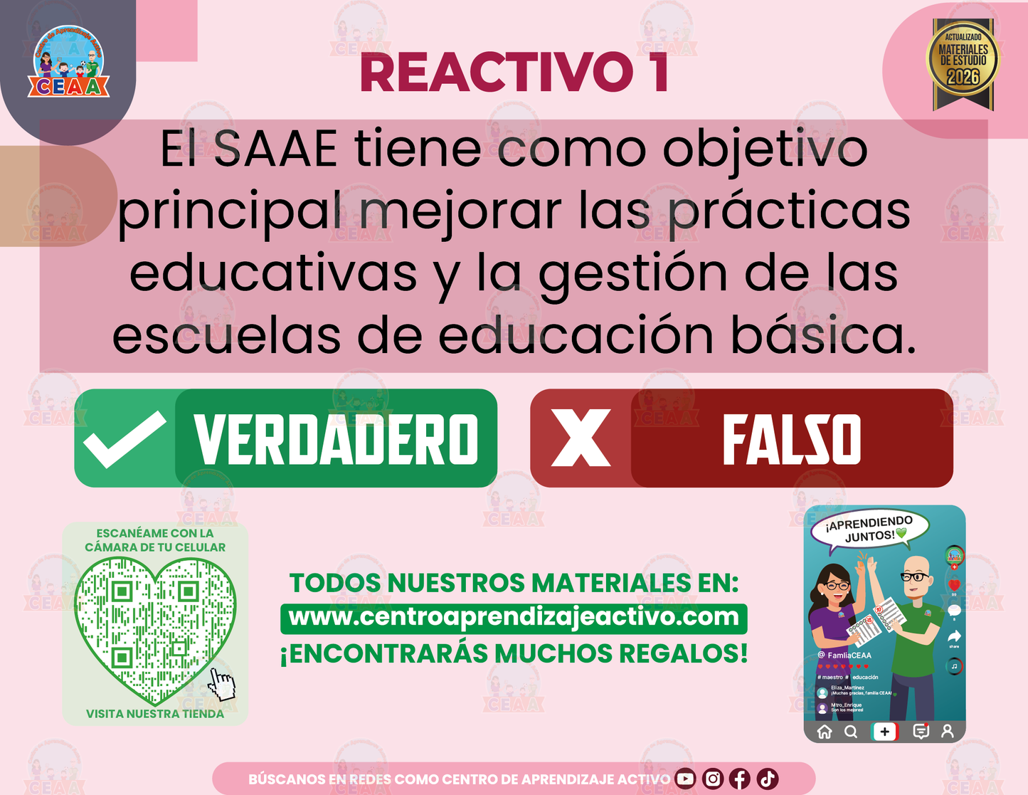 Cuadernillo de Estudio - SAAE - Verdadero o Falso en PDF