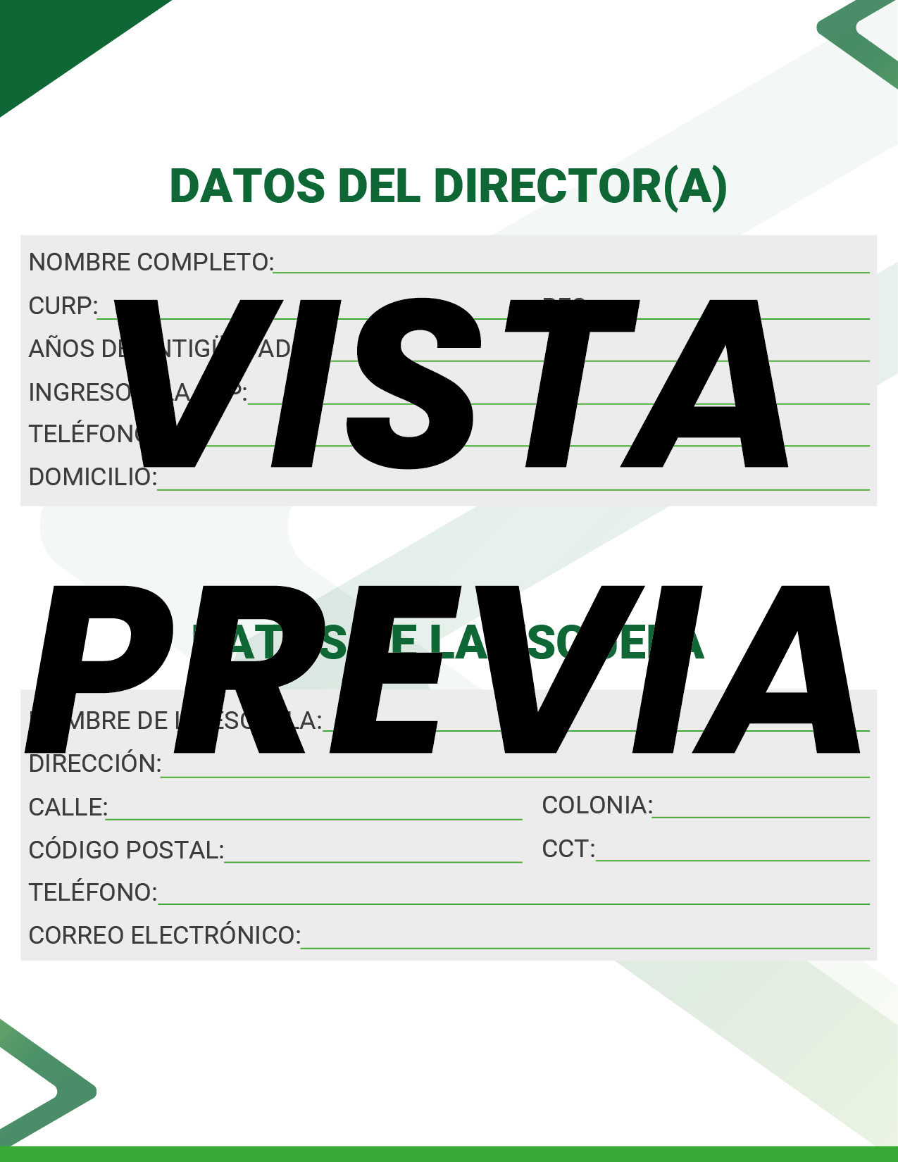 Agenda Formal Verde DIRECTOR Secundaria