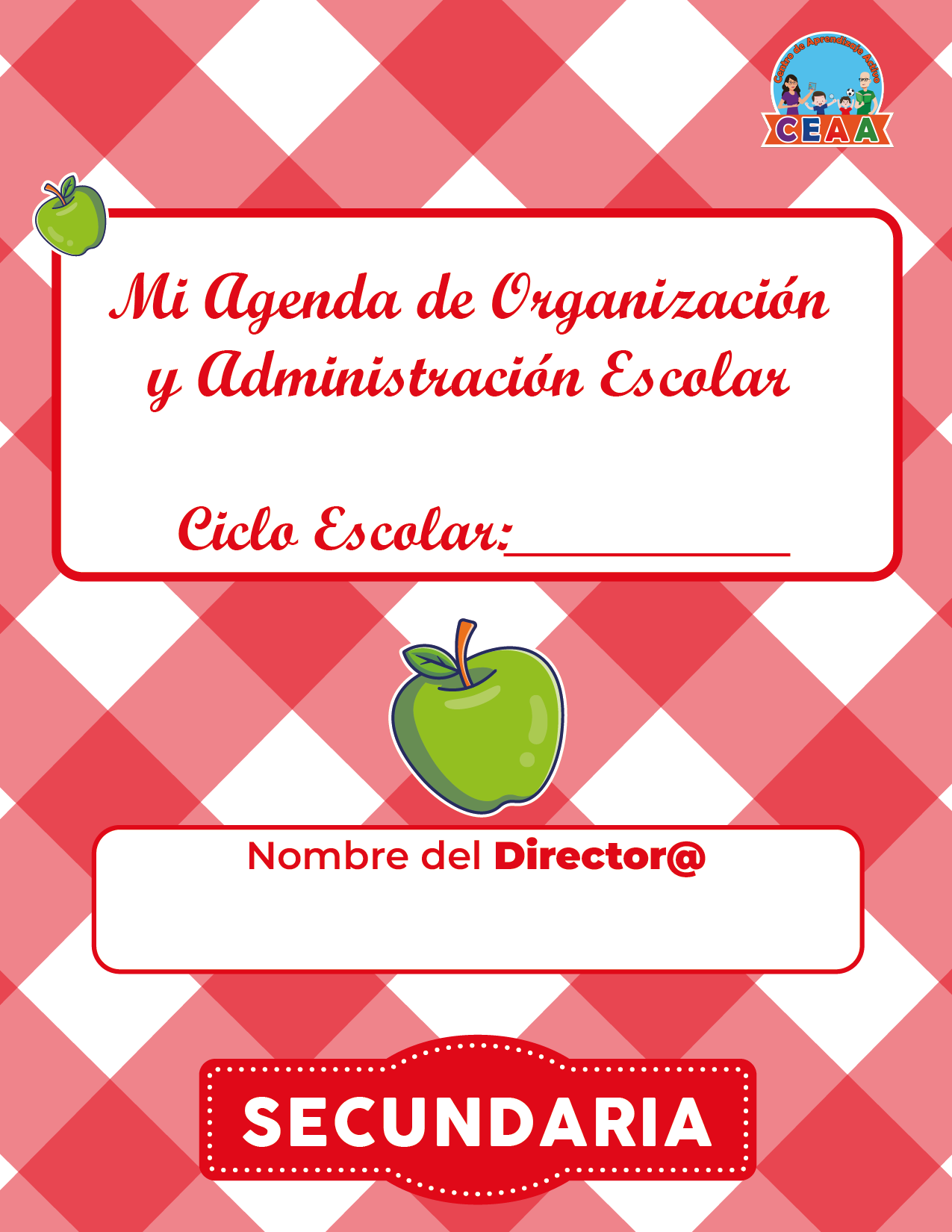 Agenda Manzana DIRECTOR Secundaria