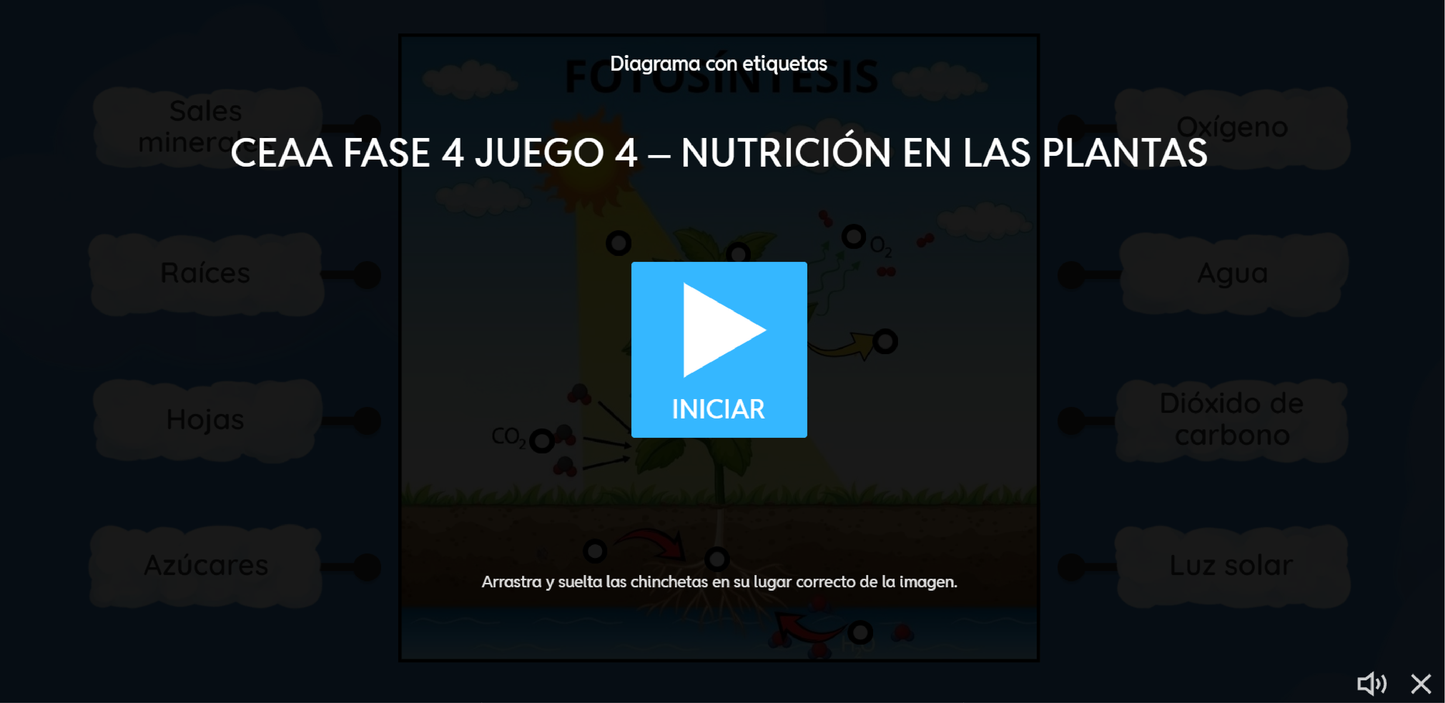 4 JUEGOS INTERACTIVOS POR CONTENIDO PARA TUS CLASES - Fase 4 - SABERES Y PENSAMIENTO CIENTÍFICO - Contenido 4